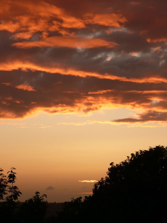 249265_1378269994888_7775861_n