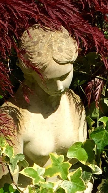 11263923_10200527347224278_4768264322341129422_n