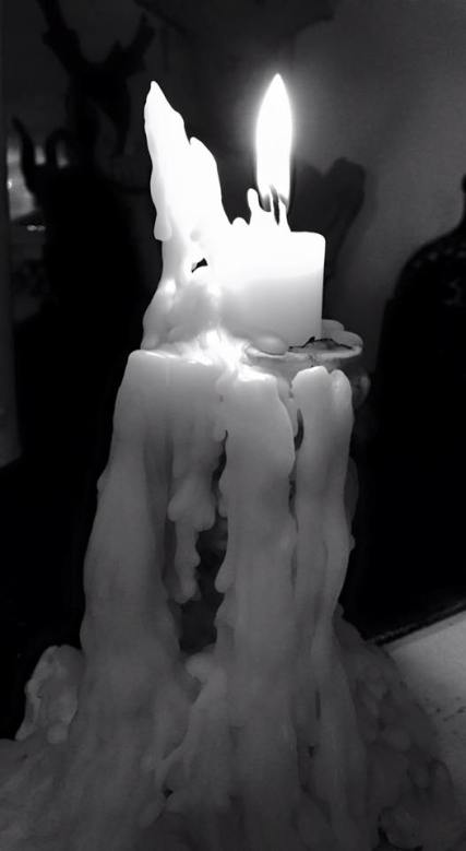 11800517_10200829355254290_5517349351828491583_n