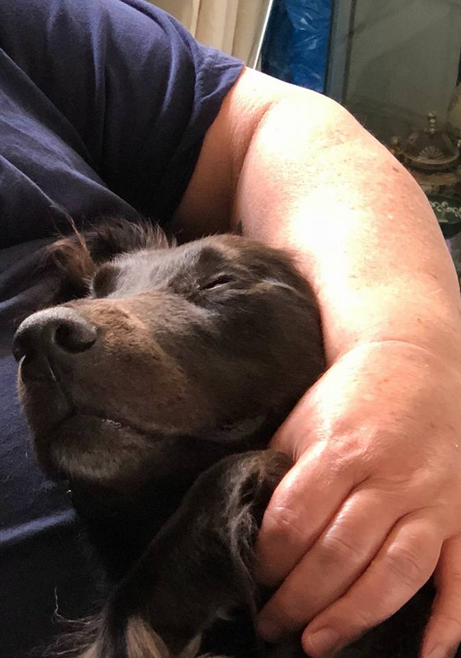 31289191_10155579373838576_2183986081127464960_n